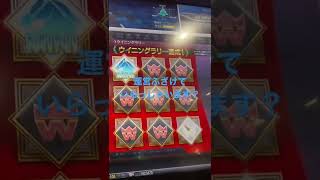 StarHorse4 海外ラリー達成！