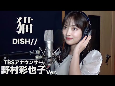 猫 - DISH// Covered by 新人アナウンサー野村彩也子