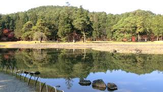 20171107世界遺產平泉毛越寺