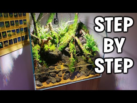 Making A Jungle AquaTerrarium With Natural Forest Materials!