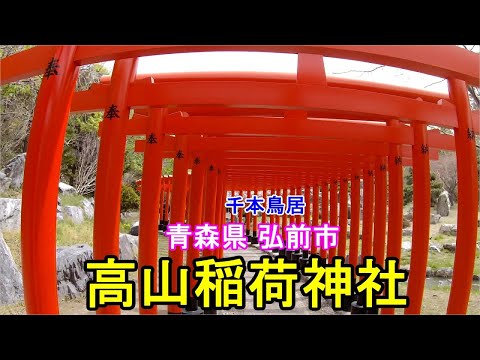 【東北旅行（高山稲荷神社　編）】　千本鳥居で有名。京都の伏見稲荷大社のように、朱塗りの鳥居が並び幻想的です。神様の使いの狐さんもたくさんいました。世界遺産登録の縄文遺跡群見学の折にいかがですか。