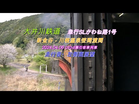 2024 04 06　大井川鉄道　SLかわね路1号　列車走行音・左側車窓動画( 一部他列車の動画 )