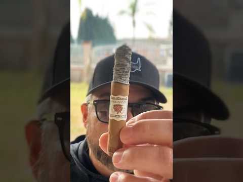 Is this the best Connecticut cigar of 2024? #cigar #review #tobacco #smoking #viral #asmr