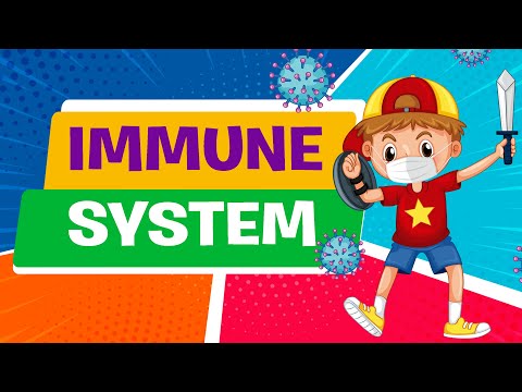 Immune System | Biology | Science Lesson | Educational Video | Crash Course Anatomy & Physiology