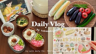 vlog｜おうちで楽しむとなりのトトロ🌱夏を味わい、夢を叶えるジブリ飯🌽｜サツキのお弁当、夏野菜レシピ、おえかきetc.｜Studio Ghibli