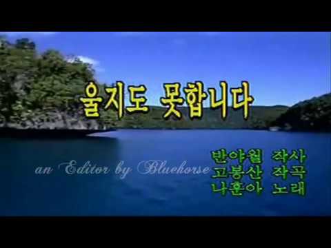 나훈아 - 울지도 못합니다 (원곡 삽입 Karaoke 버젼)