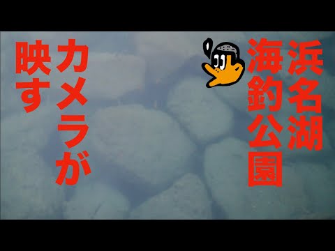 [初心者釣り日記] カメラを買ったし、と浜名湖新居海釣り公園をリポートする初心者