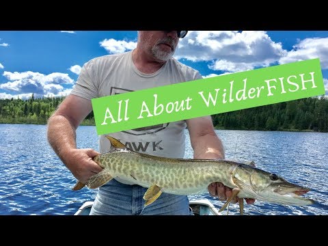 About this WilderFISH fishing channel