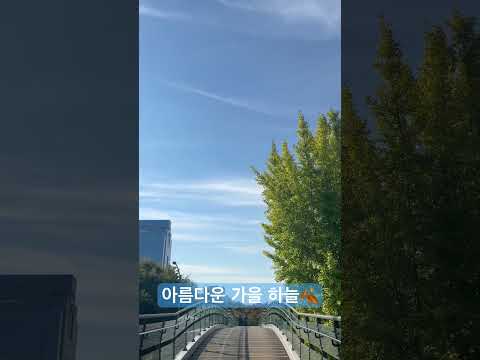 아름다운 가을 하늘🍂