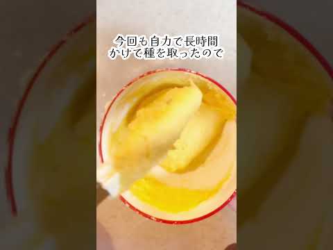 アメリカンチェリーのタルト🍒うたショートEP6🥝 #shorts #手作りお菓子