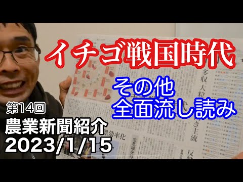 イチゴ新品種代頭で戦国時代突入／その他全面流し読み【農業新聞記事紹介2023年1月15日】