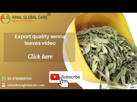 Indian Prime 3 Senna Leaves