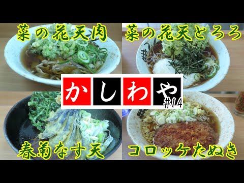 【立ち食いそば・うどん】菜の花天肉そば 菜の花天とろろそば 春菊なす天そば コロッケたぬきそば かしわや 新城店 まとめ動画 #14 #立ち食いそば #駅そば #ぶらり立ち食いそば