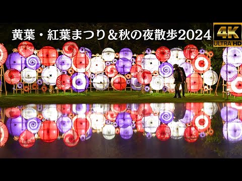 Autumn Leaves Festival & Autumn Night Walk 2024★Showa Kinen Park★