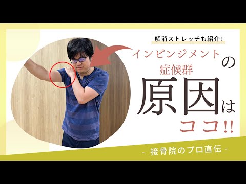 【肩の痛み〜肩峰下インピンジメント症候群〜】物を取ろうとすると肩が痛い、腕を上げようとすると痛くて90°以上、上がらないときの対処方法！｜接骨院のプロが教えるお家セルフケア｜テラピスト接骨院,