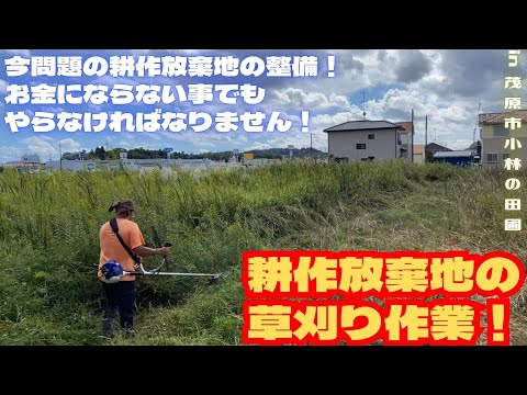 耕作放棄地の草刈り作業！【里山再生・土壌改善・開拓型農業アクティビティ里山体験受付中】