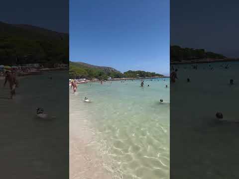 🏝️Clear water in Cala Agulla , Mallorca 🏝️#mallorca #islasbaleares #balearicislands