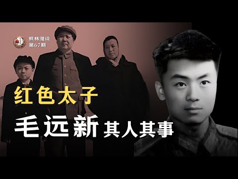 红色太子 —— 毛远新其人其事