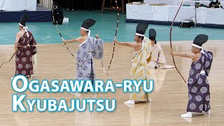 Ogasawara-ryu Kyubajutsu [4K 60fps] - 46th Japanese Kobudo Demonstration