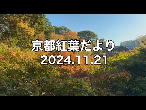 【11/21京都紅葉】永観堂・南禅寺・東福寺・嵐山