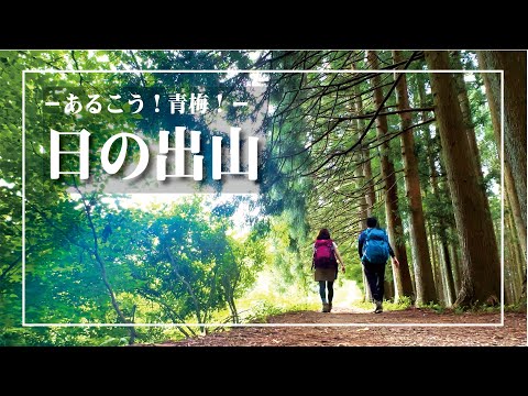 ～御岳山・日の出山～初心者にもおすすめ！山頂でイノシシカレーを食べました 🍛【あるこう！青梅！】