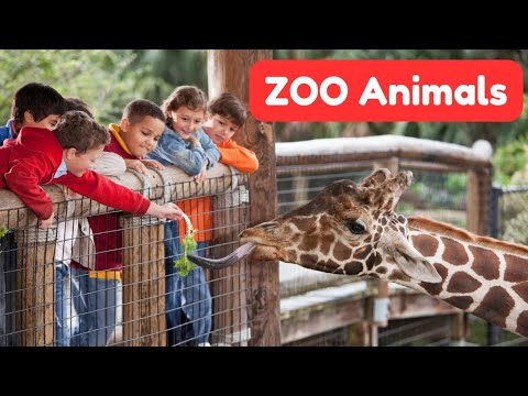 Zoo animals/ Animals name #zooanimals #animals #animalssounds #animal #animalsforkids