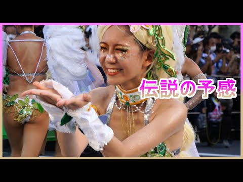 4K 伝説の予感 ウニアン 女子大学生 浅草サンバカーニバル 2023 Japanese Samba 삼바 桑巴舞 แซมบ้า