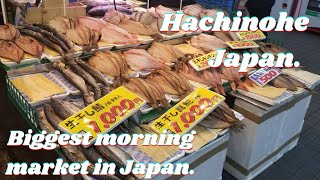 Tatehana Wharf morning market  | Hachinohe, Aomori, northern countryside travel vlog