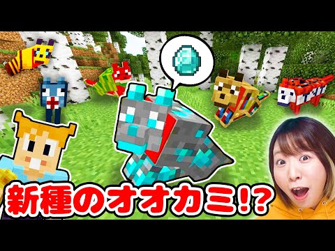 【マイクラ】なにこのオオカミ!?😱❤️新種のオオカミ10匹捕まえるまで終われませんやってみたら…【マインクラフト】【マイクラ統合版】【Minecraft】