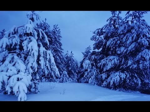 Сказочный зимний январский вечер.