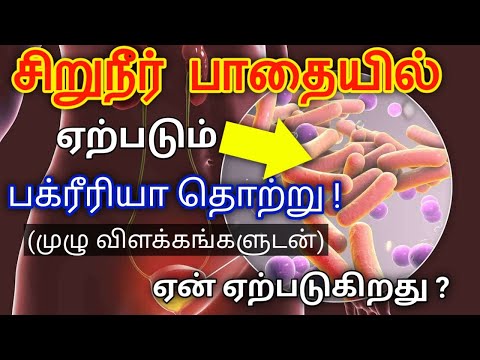 Urine infection in tamil | சிறுநீர் பாதை தொற்று /Infection in urinary tract in tamil/STAR LABORATORY