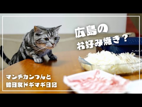 関西人が焼く広島のお好み焼きを前に愛猫がこの表情ですw【猫とホットプレートごはん】