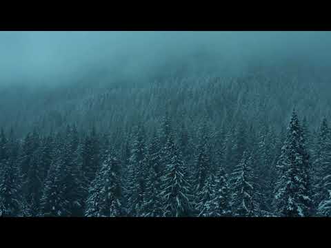 Dear Gravity & Broken Peak ●● Ninemile Pine (Official Video)