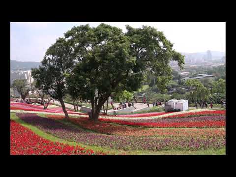 202001 K 北投社三層崎公園