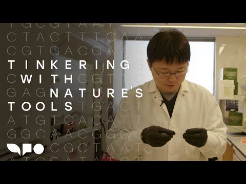 Tinkering with Nature’s Tools: The CRISPR Pioneer Feng Zhang