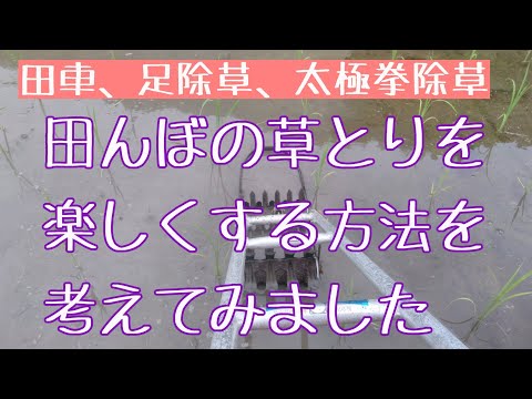 【手技、足技】田んぼの草とりを楽しくしよう!!