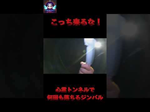 【心霊】ゾッとした体験‼️トンネルで何かいる‼️機材トラブル何回も起こす霊😱#心霊映像 #外国人 #怖い話