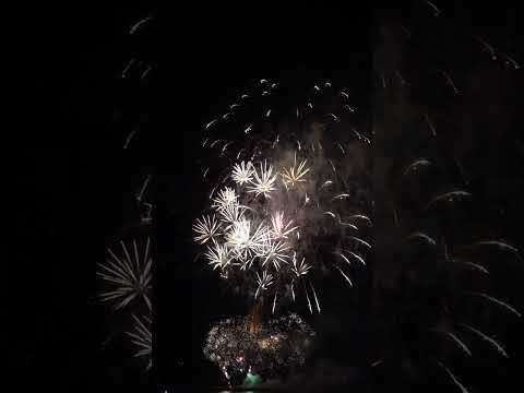 Winning Firework Finale by Skyburst | British Firework Championships 2023