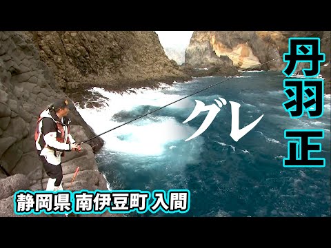 南伊豆で入れ食い状態のメジナ釣りを楽しむ！ 2/2 『ザ・激磯 丹羽正×南伊豆 入間 真冬のメジナ攻略』イントロver.【釣りビジョン】その②