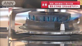 12月使用分の電気・ガス料金　多くの地域で値下がり　燃料価格下落、円高で(2024年11月28日)