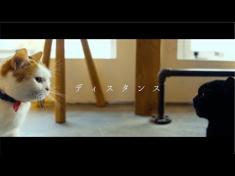 flumpool「ディスタンス」Music Video