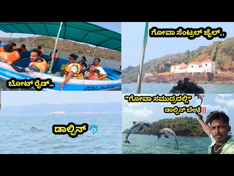 🐬ಗೋವಾದಲ್ಲಿ ಡಾಲ್ಫಿನ್ ಬೇಟೆ 🐬‼️dolphin trap in goa ‼️#goa #dolphinwatching