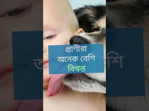 প্রানীরাই বেশি বিশ্বস্ত #shorts