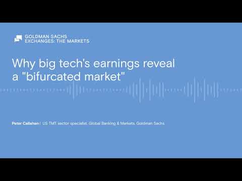 Why big tech's earnings reveal a "bifurcated market"