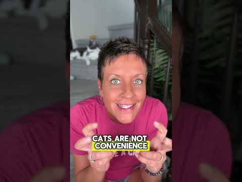 Before You Get A Cat - Watch This | Two Crazy Cat Ladies #cattips #cats