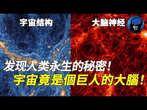 宇宙是巨人的大腦！ 100億光年外！宇宙結構與大腦神經網絡高度相似！難道我們生活在一個巨人身體裡？