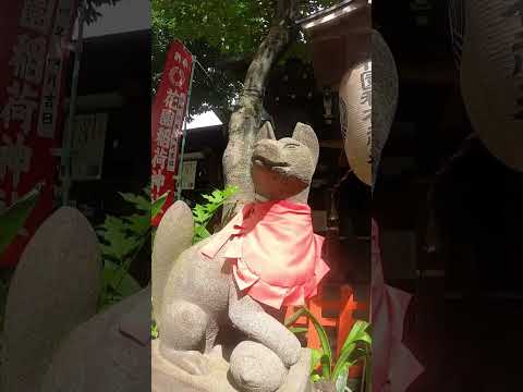 上野にある恋愛、縁結びの神社。鳥居の続く道を歩いて別世界へワープ。#shorts #short #shortvideo