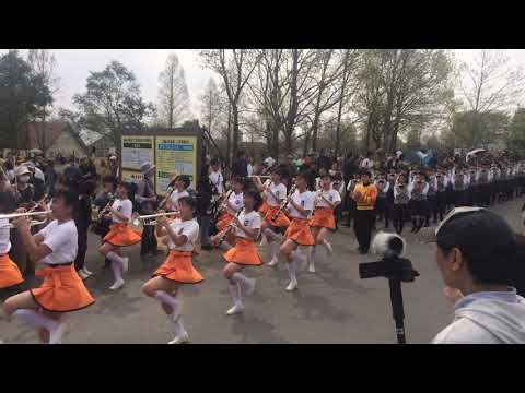 Kyoto Tachibana High School band - 2019 Blumen Parade