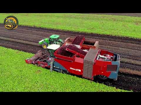 How Bell Pepper Is Both Sweet And Healthy For You And Your Kid - Agriculture with Grand Machine