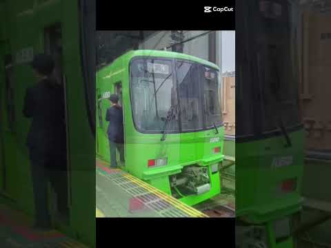 京王8000系通常車両ラッピング車両2種類